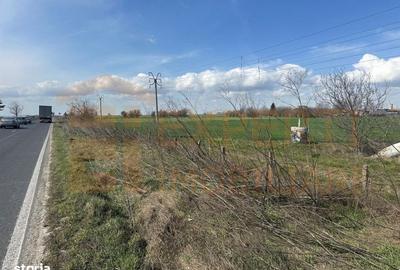 Spațiu comercial, în Valu lui Traian - 12