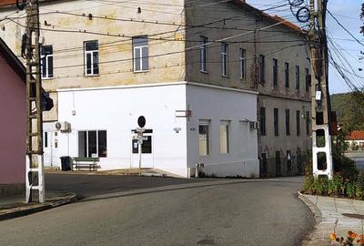 Casă în Baia de Criș - 1