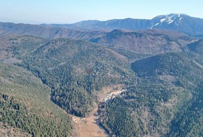 Teren intravilan - 8