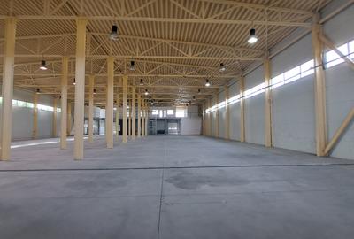 HALA DEPOZITARE CU ETAJ PARTIAL PENTRU BIROURI AMPLASAMENT: OTOPENI - 41