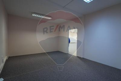 Birou, de 258 mp, în Baba Novac - 8