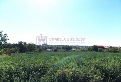 TUZLA - Teren intravilan 1000 mp, langa lacul Techirghiol! TUZLA - Teren intravilan 1000 mp, langa lacul Techirghiol! - 8