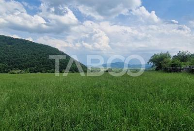 Priveliste deosebita de vanzare de pe teren de 1645mp extravilan Orlat - 2