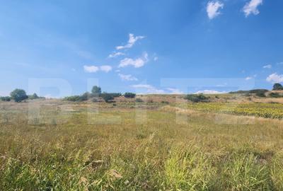 Teren intravilan,827 mp,Ciugud