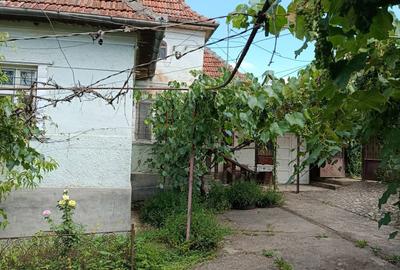 Casă cu 3 camere cu Teren 1000 Mp în Sutoru - 1