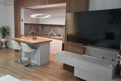 Apartament cu 2 camere semidecomandat, mobilat în Parcul Carol - 2