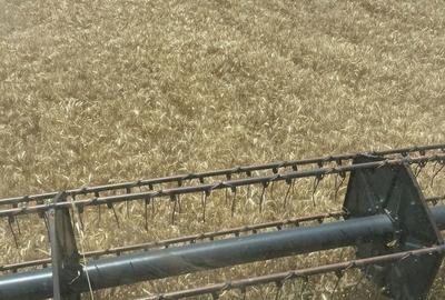 Spațiu comercial, în Central