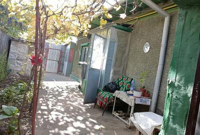 Casă cu 4 camere în Radu Negru - 2