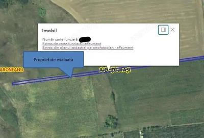 Teren Extravilan Aroneanu, ID: R2577828 - 11