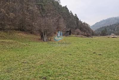 Teren Straja - Pangarati 3560 m, zona de Pensiune Teren Straja - Pangarati 3560 m, zona de Pensiune - 5