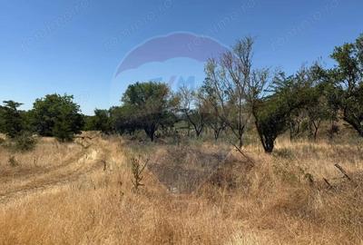 De vanzare Teren Extravilan- Cernavoda - 4