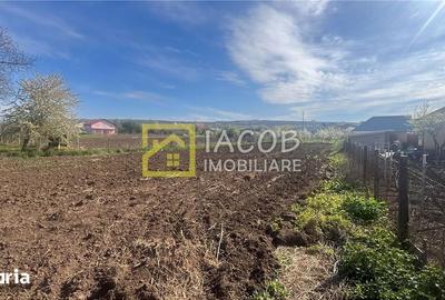 Teren de 2554 mp, în Prăjești - 12