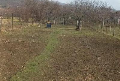 Casă cu 3 camere cu Teren 751 Mp în Cuvin - 3