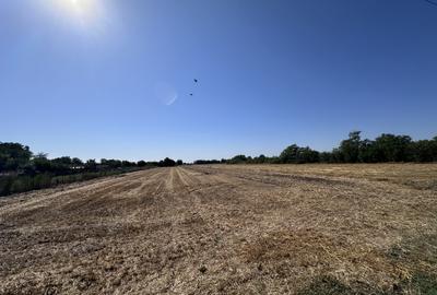 Teren Construcții intravilan de 5208 mp, în Dascălu - 2