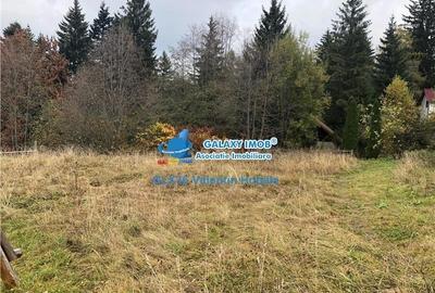 Vanzare teren 850 mp Predeal Cioplea - Belvedere - 6