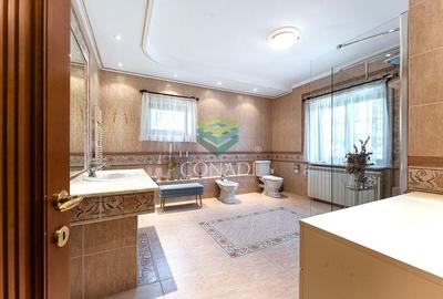 Iancu Nicolae, vila speciala cu 6 camere, 1621 mp teren, de vanzare - 12