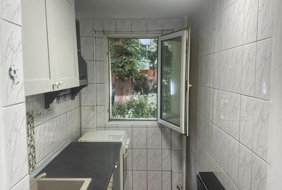 Lacul Tei, langa Facultatea de Constructii - 10