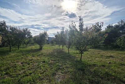 Casă cu 4 camere în Țigănești - 2