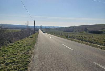 Teren de 1500 mp, în Cetariu - 5