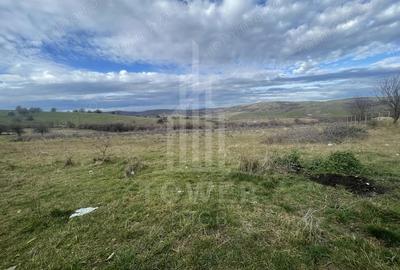 Teren de 1800 mp, în Roșia