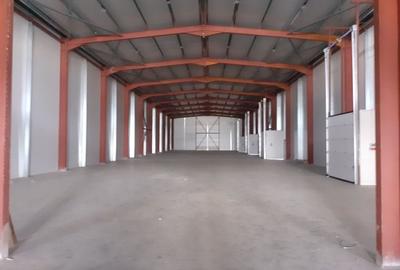 Spațiu industrial, 1600 mp în Theodor Pallady