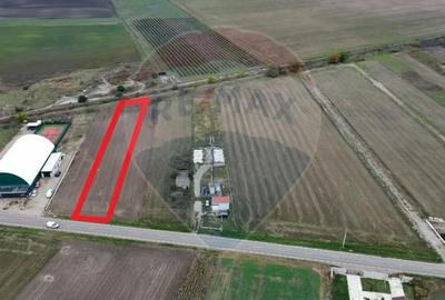 Teren de 1800 mp, în Mirceștii Vechi - 3