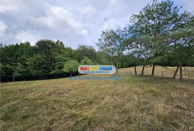 Teren de 2700 mp, în Curtea de Argeș - 9