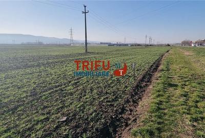 Teren de 11600 mp, în Sântimbru - 1