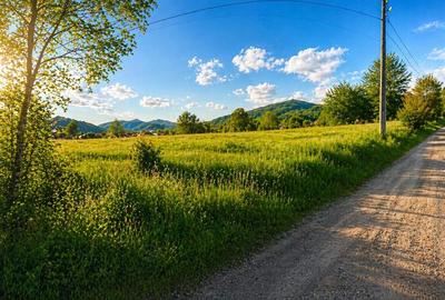 Teren intravilan de 5750 mp, în Ibănești - 2