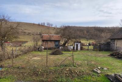 Teren de 6000 mp, în Julița - 2