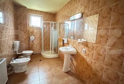 Casă cu 3 camere cu Teren 300 Mp în Cetate - 17