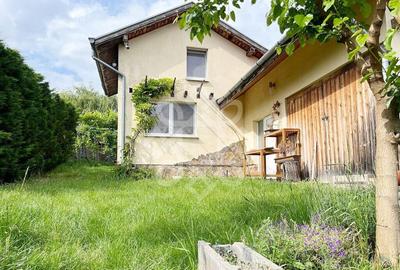 Casa cu teren 2052 mp in Saldabagiu de Munte - 1