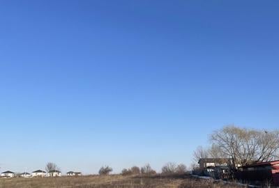 Teren de 5000 mp, în Ciorogârla - 2