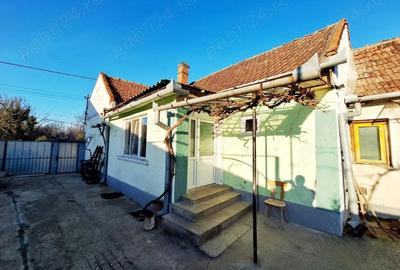 Casa 3 camere Sacadat Bihor - 1