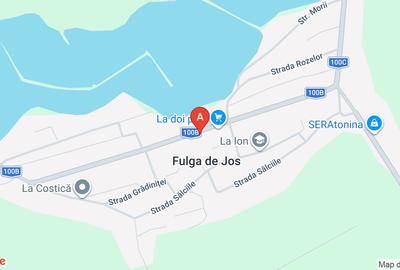 Teren agricol extravilan de 40000 mp, în Fulga de Jos