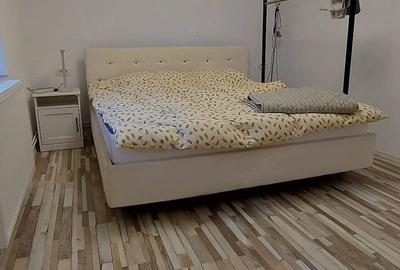 Casă cu 6 camere cu Teren 1800 Mp în Dudeștii Noi - 18