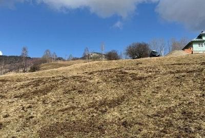 Vanzare Teren cu Punct de Belvedere in Moieciu zona Magura-Pestera - 6
