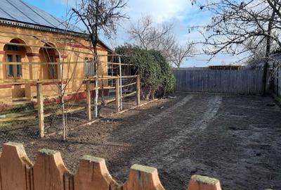 Casă cu 4 camere cu Teren 4870 Mp în Viziru - 4