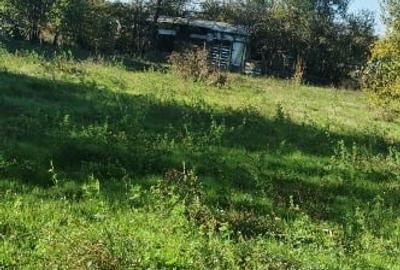 Casă individuală cu 3 camere cu Teren 1757 Mp în Crivăț - 4