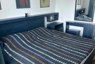 Apartament cu 3 camere decomandat în Siloz - 10
