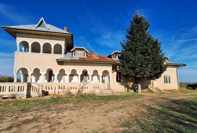 Proprietate deosebita Adunatii Copaceni, teren: 54.141 mp, conac, comision 0% - 8