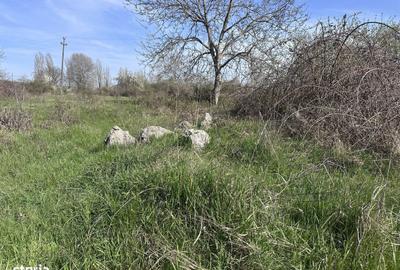 Spațiu comercial, în Aninoasa - 6