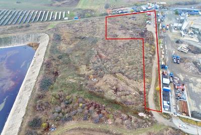 Teren 7.919mp com. Vladimirescu jud. Arad - 4