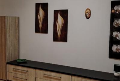 Garsoniera moderna- Tractorul - 5