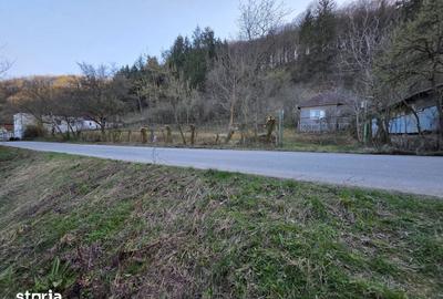 Casă cu 4 camere cu Teren 1887 Mp în Burjuc - 3