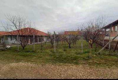 Spațiu comercial, în Central