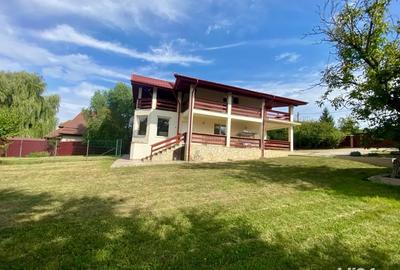 Casa spatioasa cu etaj 280mp, teren 1670mp, garaj,foisor,beci,fantana - 1