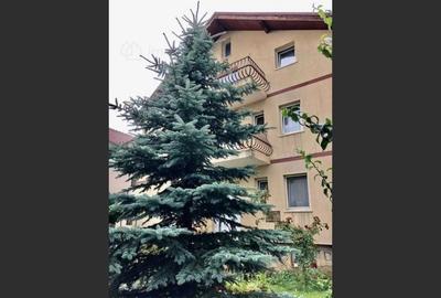 Villa for sale, 10 Rooms, 576 sqm, 700 sqm, Brașov - 5