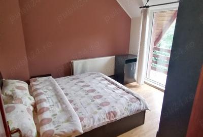 Vand casa finalizata in 2014, in Carbunari, la 12KM de Baia Mare, langa padure. - 6