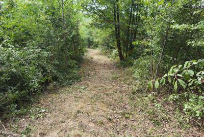 Teren de 2552 mp, în Moșoaia - 3